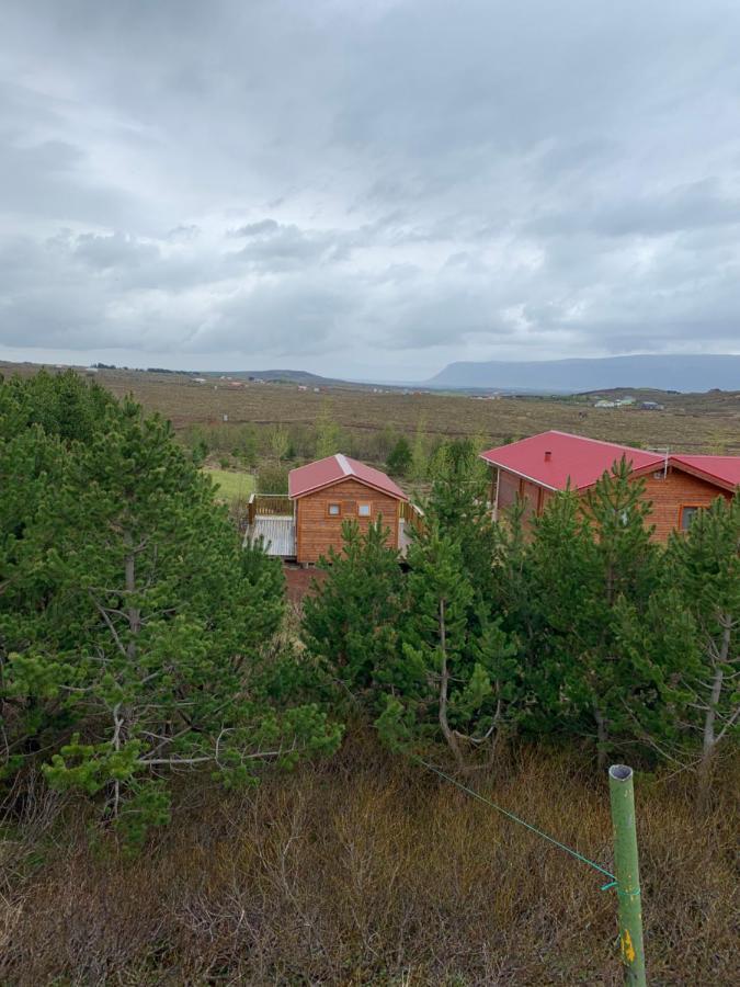 Cosy Cottage-Golden Circle Kerhraun Exterior foto